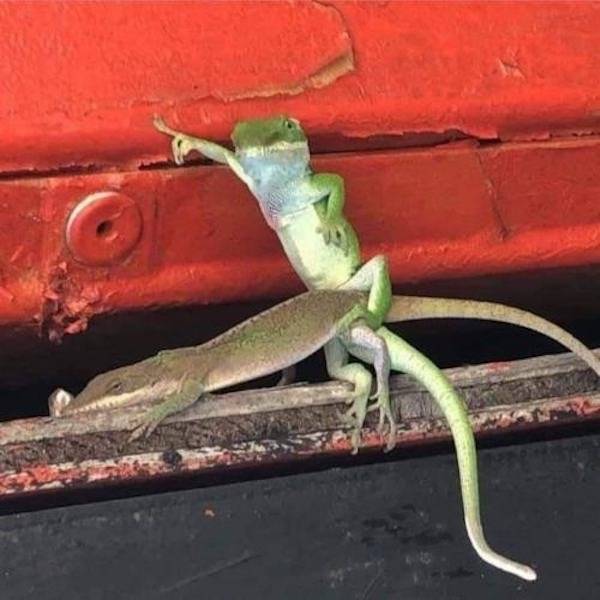 Your Dirty Mind Desperately Needs Fuel!