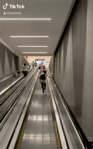 hot fails are the best fails 43 gifs 2.html - 1 HD GIF | Premium Gallery 2021