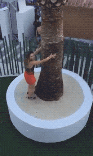 hot fails are the best fails 43 gifs 2.html - 1 HD GIF | Premium Gallery 2021