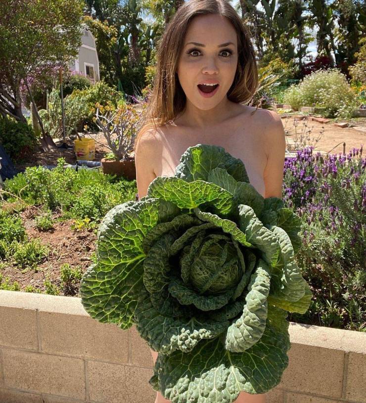 grownup corner 54 pics 14.html - 54 HD Photos | Premium Gallery 2021