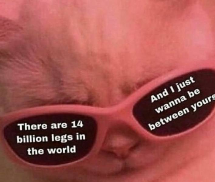 These Memes Are Extremely NSFW!