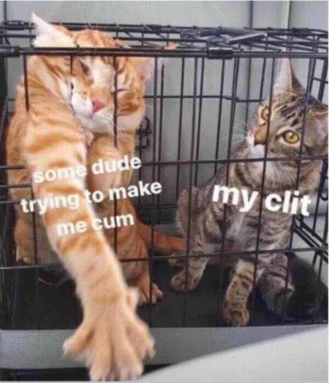 These Memes Are Extremely NSFW!