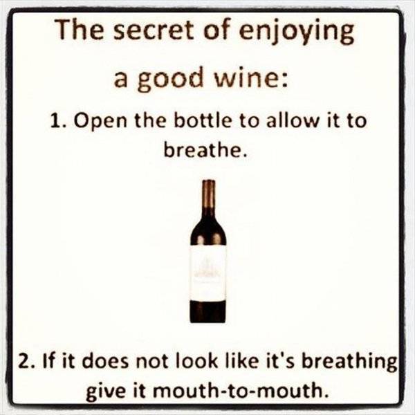 Red And White Memes About Wine