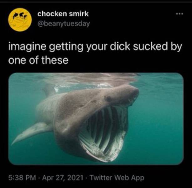 Horny Jail Is Waiting For You!