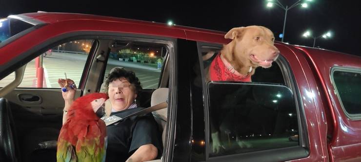 “Walmart” Is A Crazy Place…