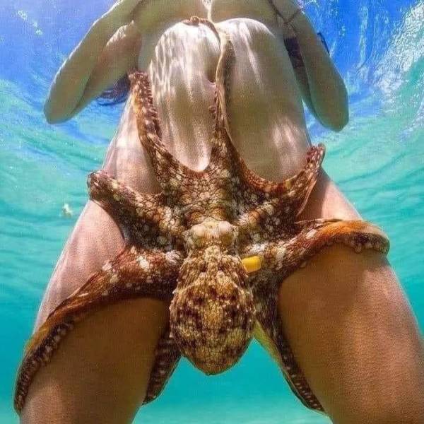 grownup corner 67 pics 8.html - 67 HD Photos | Premium Gallery 2021