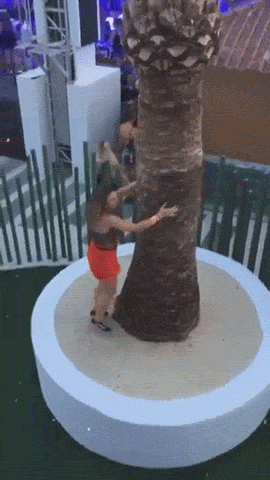 these fails are extra hot 41 gifs 5.html - 1 HD GIF | Premium Gallery 2021