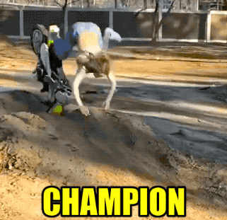 these fails are extra hot 41 gifs 5.html - 1 HD GIF | Premium Gallery 2021