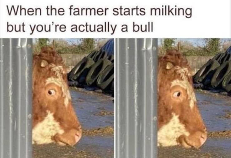 Dirty Humor Is Endless!