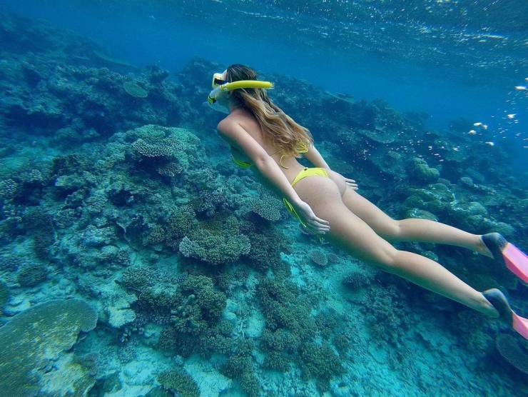 grownup corner 56 pics 21.html - 56 HD Photos | Premium Gallery 2021