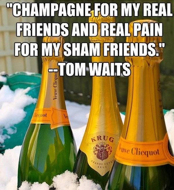 These Memes Are Already Drunk…