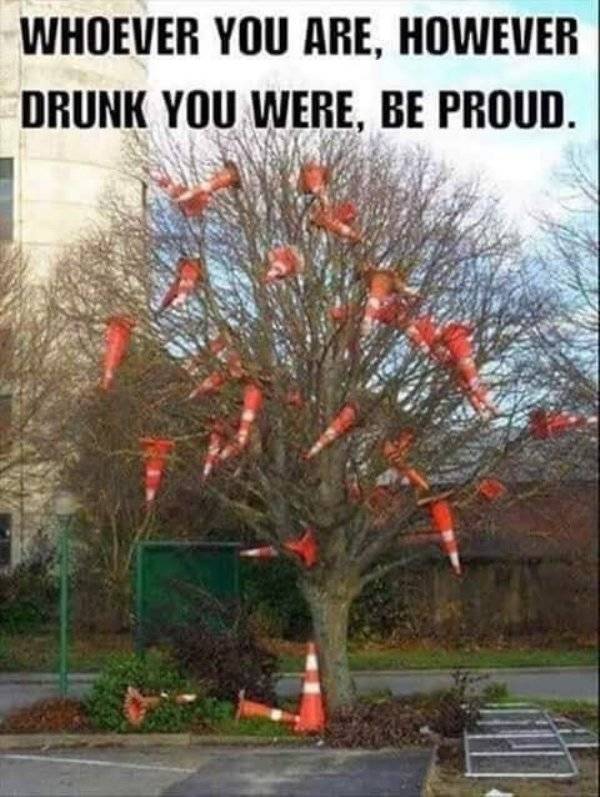 Wasted, Aren’t You?