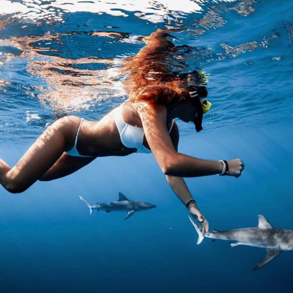 grownup corner 68 pics 3.html - 68 HD Photos | Premium Gallery 2021