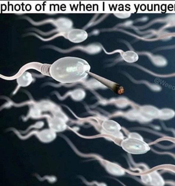 Start Your Day With Some Dirty Memes!