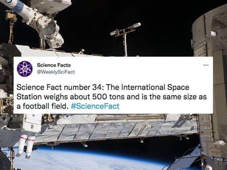 Science Facts Are Fascinating!