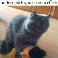 anorexic girls 17 pics.html - 17 HD Photos | Premium Gallery 2011