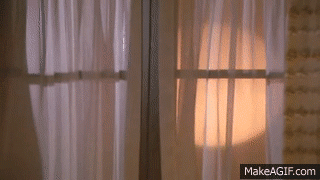 Things To Do Before Having Sex