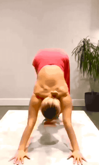 get fit with these fitness girls 20 gifs 4.html - 1 HD GIF | Premium Gallery 2021