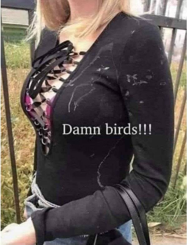 enjoy the dirtiness 72 pics 4.html - 72 HD Photos | Premium Gallery 2021