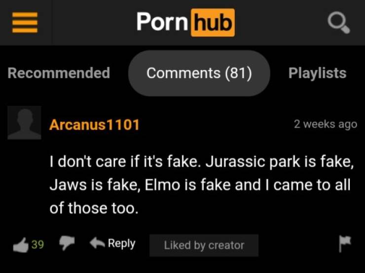 “Pornhub” Comment Section… Just Why?!