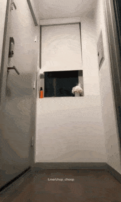 hot girls are here for you 40 gifs 3.html - 1 HD GIF | Premium Gallery 2021