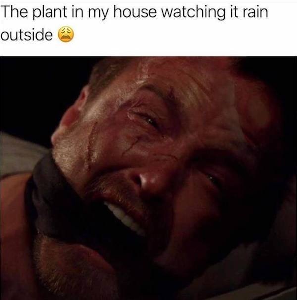 These Memes Are Extra Dirty!