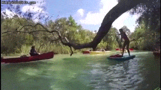 youre hot so what you can still fail 48 gifs 6.html - 1 HD GIF | Premium Gallery 2021