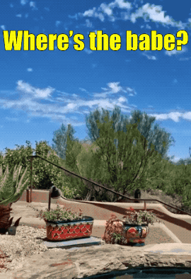 these fit girls are extra hot 28 gifs 5.html - 1 HD GIF | Premium Gallery 2021