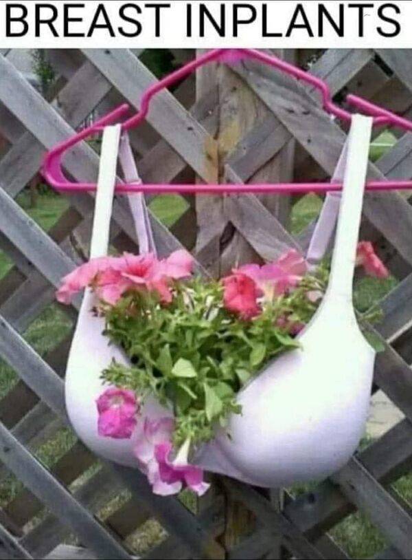 dirty minds its showtime 74 pics 15.html - 74 HD Photos | Premium Gallery 2021