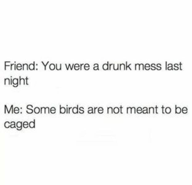 sooo drunk 70 pics 18 gifs 36.html - 70 HD GIF | Premium Gallery 2021