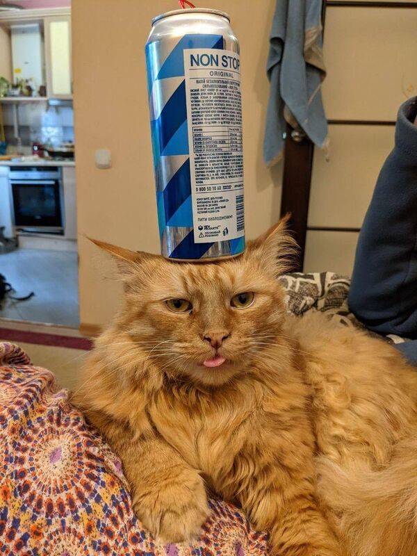 sooo drunk 70 pics 18 gifs 36.html - 70 HD GIF | Premium Gallery 2021