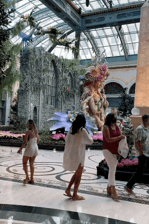 sooo drunk 70 pics 18 gifs 36.html - 70 HD GIF | Premium Gallery 2021