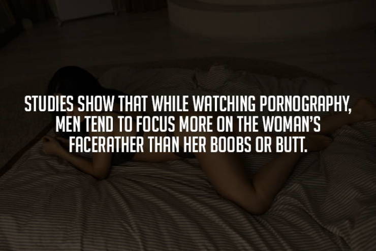 Porn Knowledge is Power