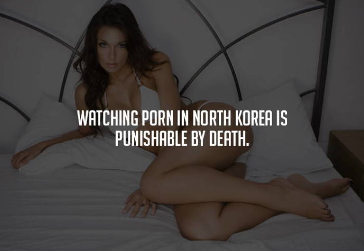 Porn Knowledge is Power