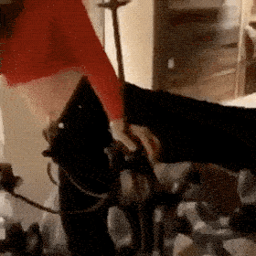 fails better hot fails 41 gifs 8.html - 1 HD GIF | Premium Gallery 2021