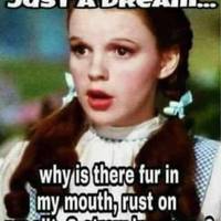 whats in the mirror 47 pics.html - 47 HD Photos | Premium Gallery 2022