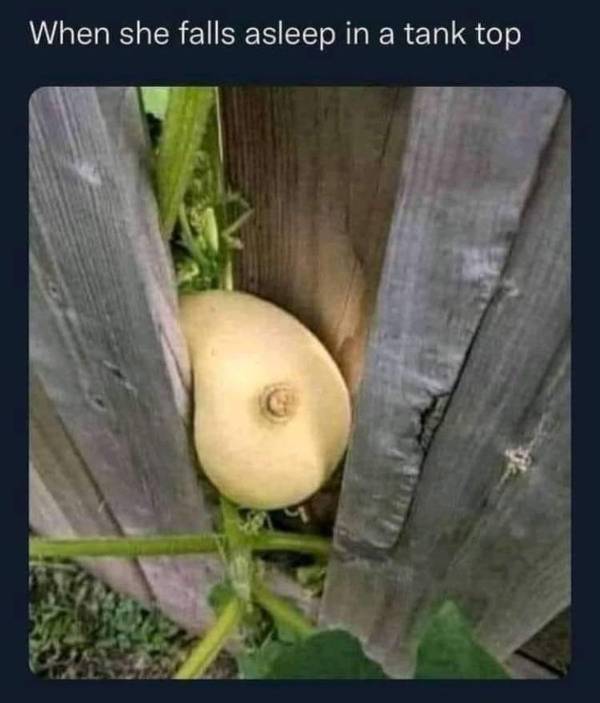 Dirty Minds, Rejoice!