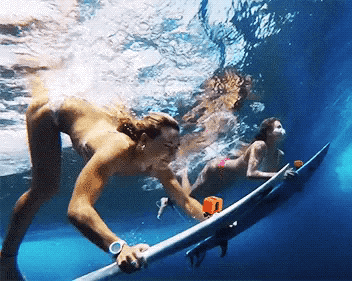 surfer girls view from behind 27 gifs 6.html - 1 HD GIF | Premium Gallery 2021