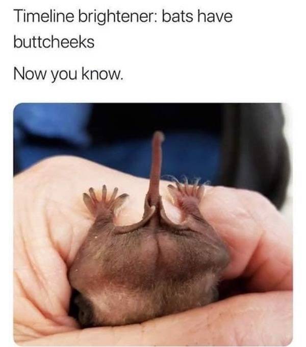 How Dirty Are You?!