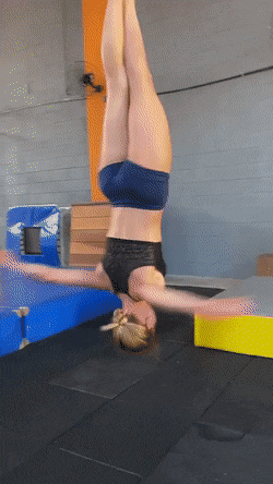 dirty minds only 42 gifs 4.html - 1 HD GIF | Premium Gallery 2021