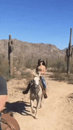 dirty minds only 42 gifs 4.html - 1 HD GIF | Premium Gallery 2021