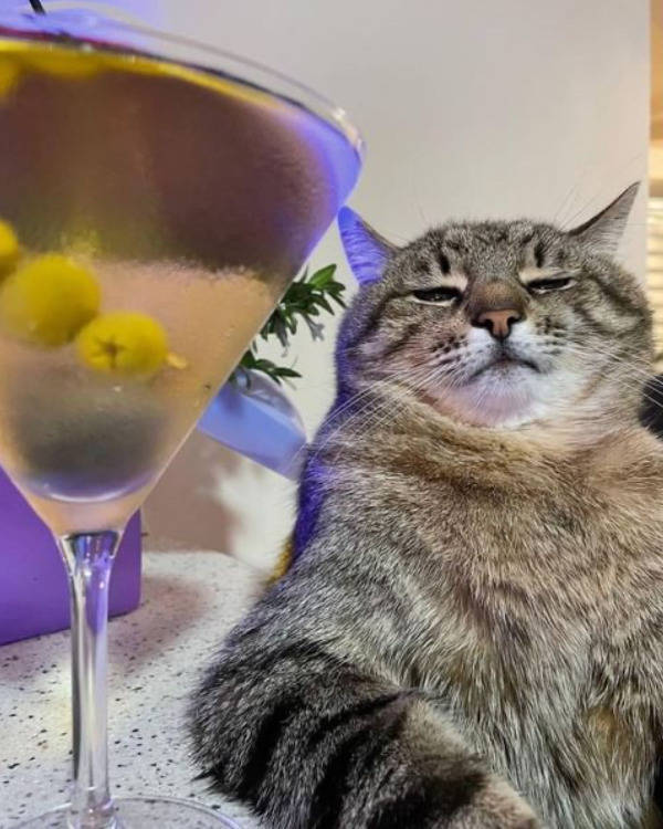 No More Drinks For Them!