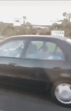 dirty minds only 42 gifs 6.html - 1 HD GIF | Premium Gallery 2021