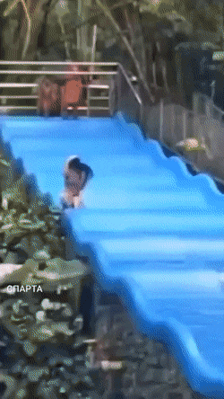 dirty minds only 42 gifs 6.html - 1 HD GIF | Premium Gallery 2021