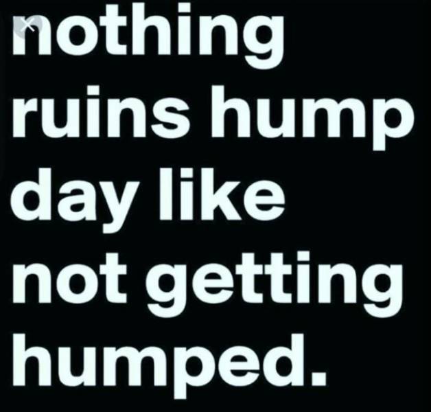 Annoyed And Grumpy? These Memes Are For You!