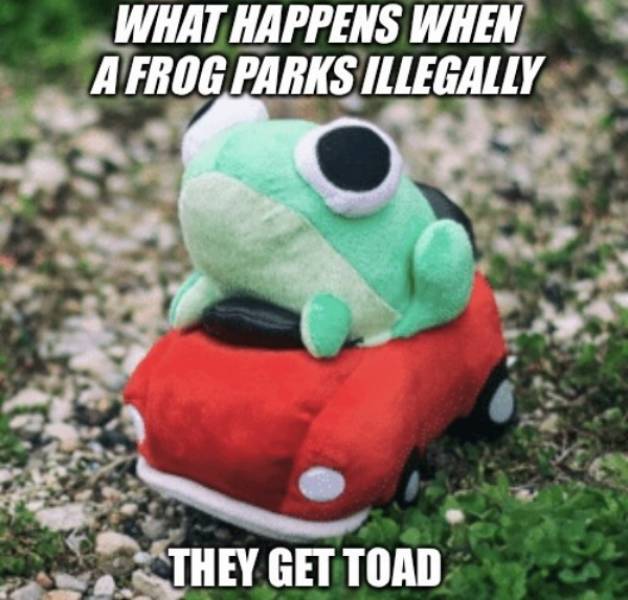 Annoyed And Grumpy? These Memes Are For You!