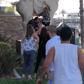 hotness doesnt save you from failures 28 gifs 6.html - 1 HD GIF | Premium Gallery 2021