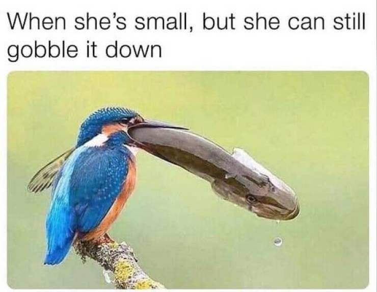 Some Dirty NSFW Memes For You!