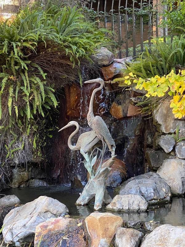 They KNEW What They Were Doing