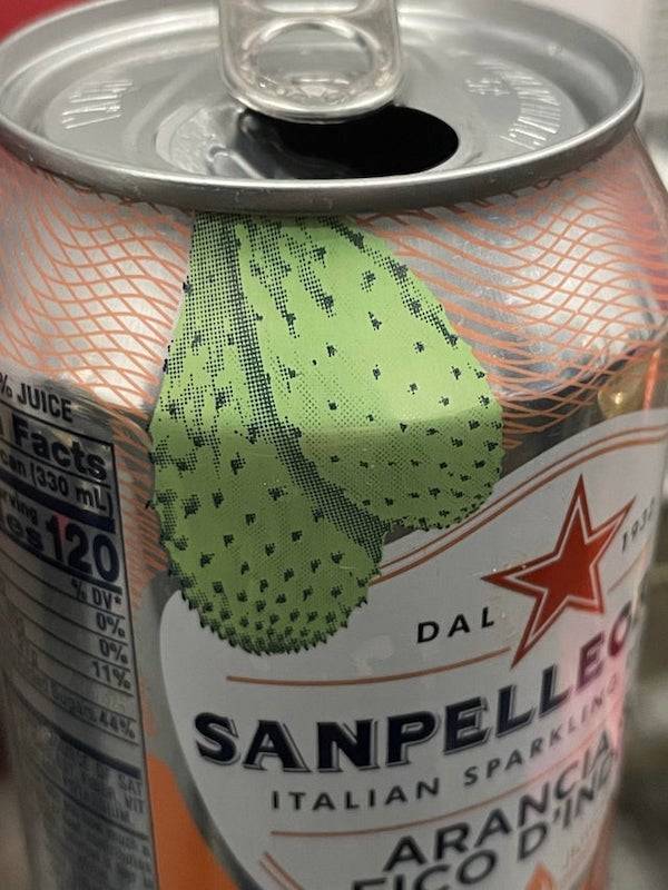 They KNEW What They Were Doing